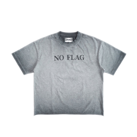 HGS No Flag Vintage Boxy Tee vintage grey washed cotton graphic T-shirt front view