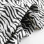 HGS SUMMER SHORTS ZEBRA PRINT