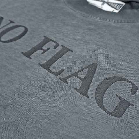 HGS No Flag Vintage Boxy Tee vintage grey washed cotton graphic T-shirt front view