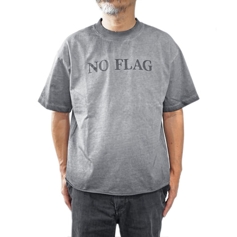 HGS No Flag Vintage Boxy Tee vintage grey washed cotton graphic T-shirt front view model wearing
